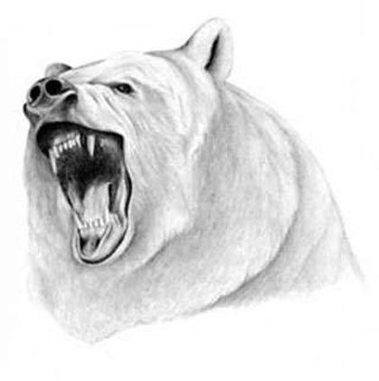 Black And Grey Polar Bear Tattoo Design