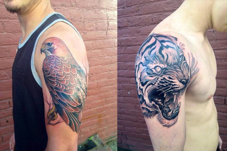 Black And Grey Tiger Roaring Face Tattoo On Shoulder By Jeff Norton