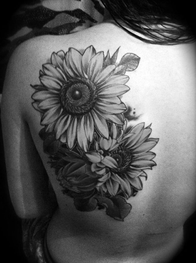 Black And Grey Two Sunflowers Tattoo On Girl Left Upper Back Shoulder