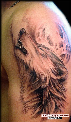 Black And Grey Wolf Animal Tattoo On Bicep