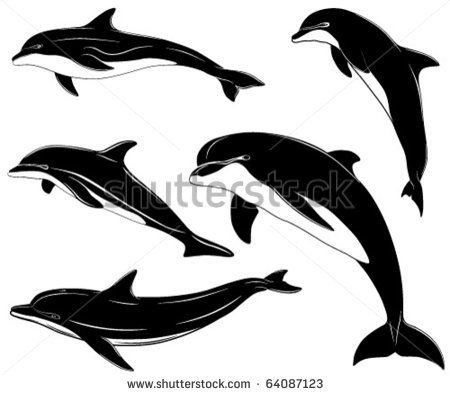 Black Dolphins Tattoo Flash