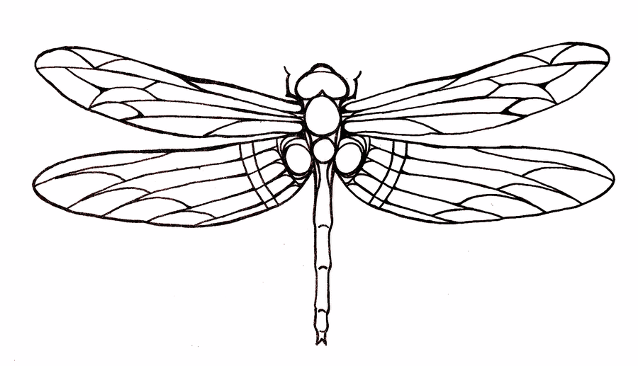Black Dragonfly Tattoo Stencil By Amy