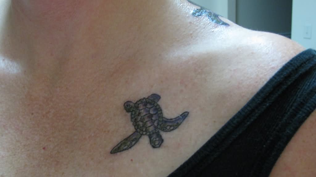 Black Turtle Tattoo On Girl Front Shoulder