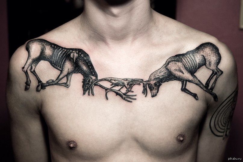 Black Two Fighting Deers Animal Tattoo On Man Chest