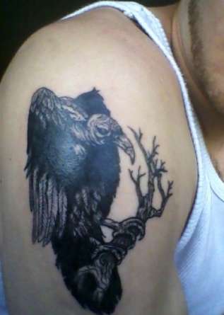 Black Vulture Sit On Branch Tattoo On Shoulder