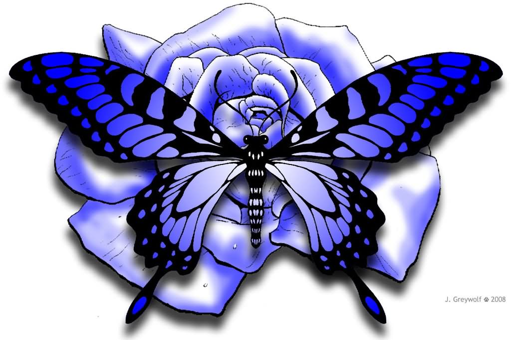 Blue Butterfly On Blue Rose Tattoo Design