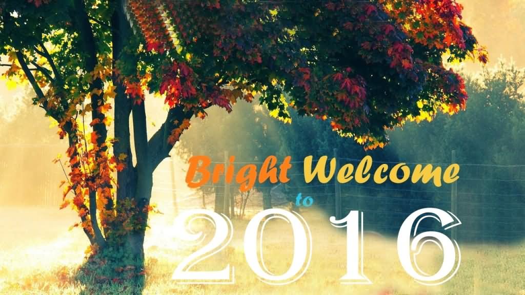 Bright Welcome To 2016 Happy New Year