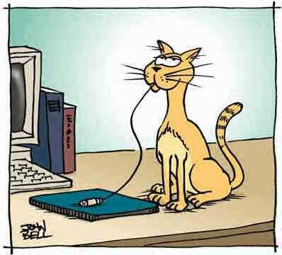 Cat Eating Computer Mouse Funny Cartoon