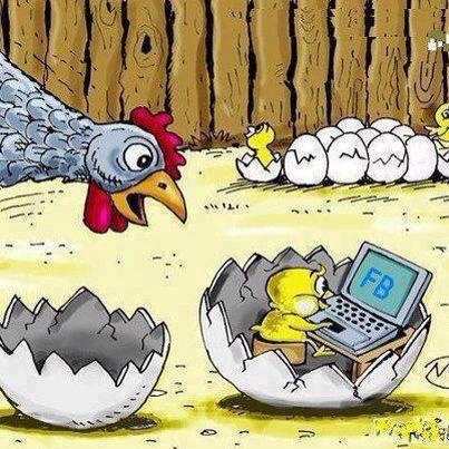 Chicken Out Of Egg Using Facebook Funny Technology Picture