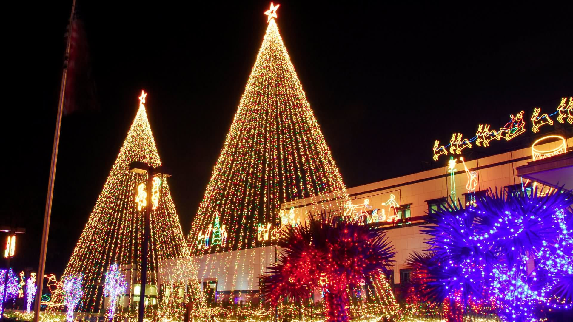Christmas Lights Tree Decoration Idea