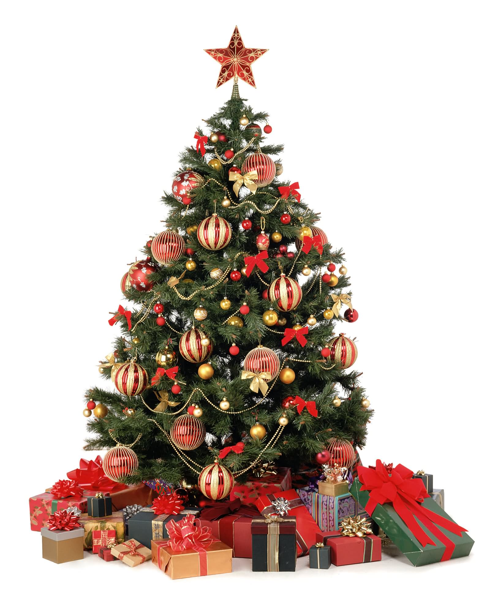 Christmas Tree And Presents Picture