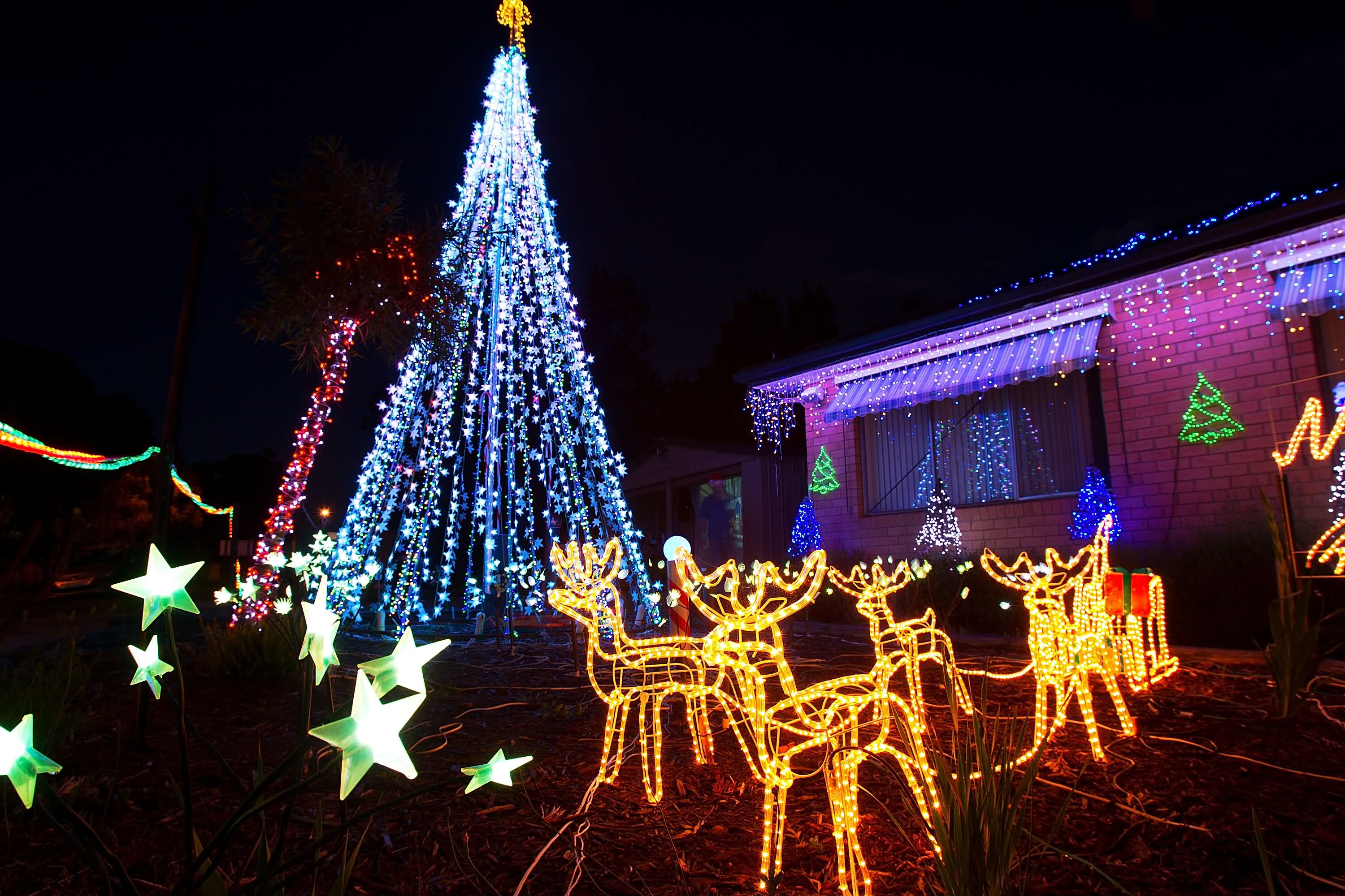 Christmas Tree And Reindeer Lighting Decoration Idea