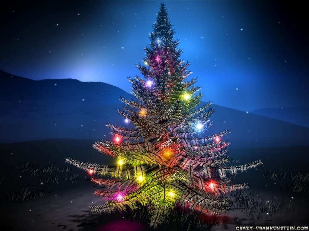 Christmas Tree Lighting Decoration On Holy Night