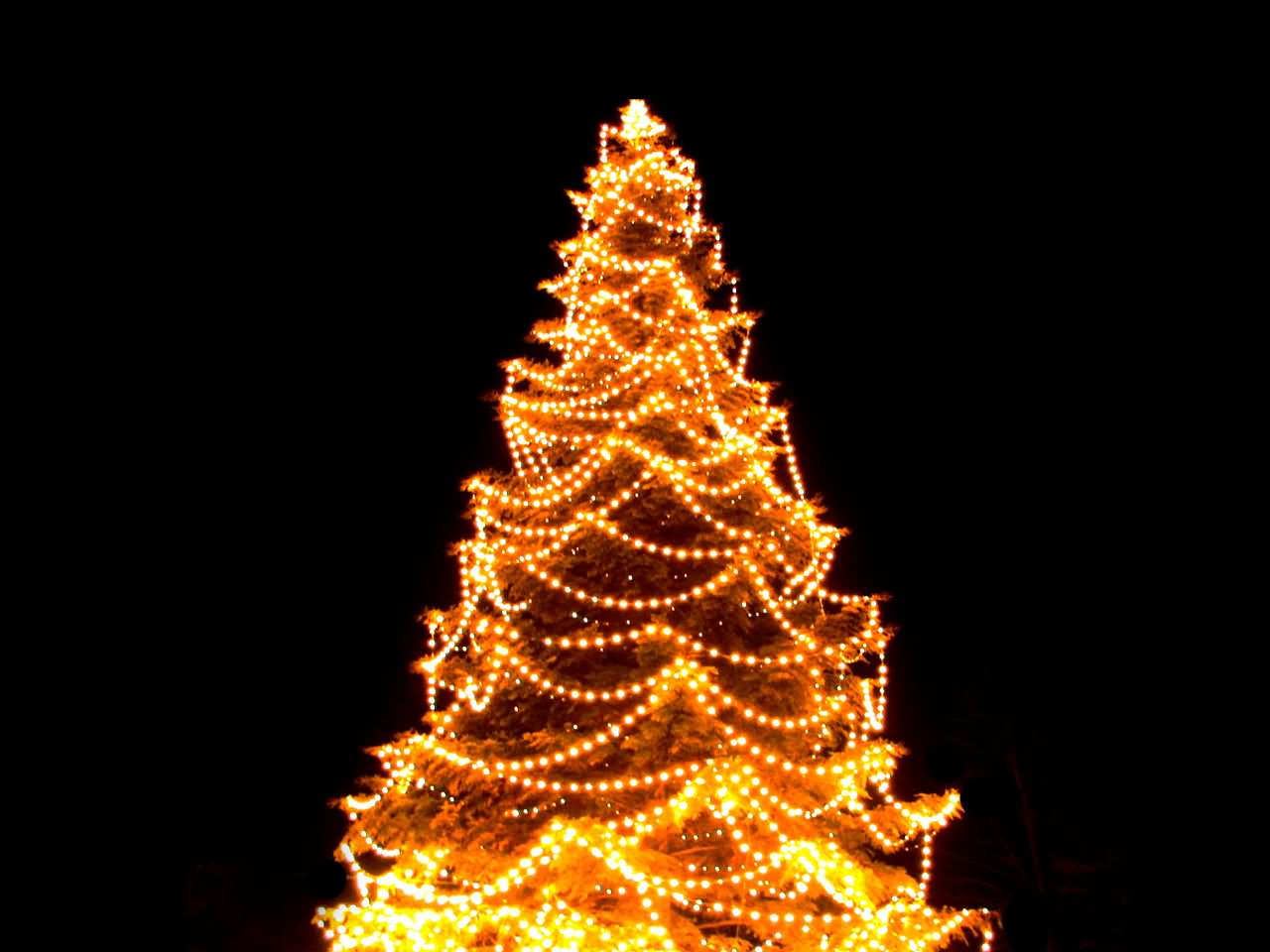 Christmas Tree Lights Decoration Photo