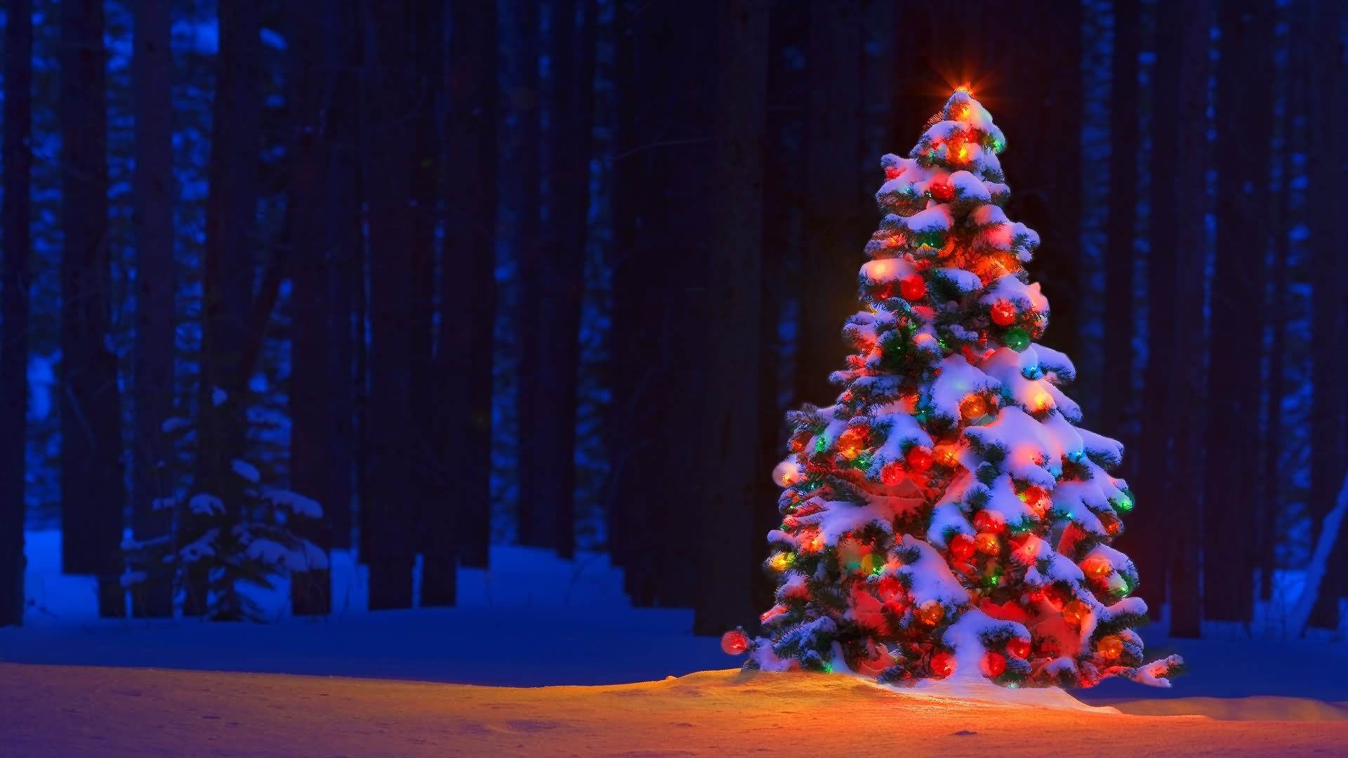 Colorful Christmas Tree Lights Decoration HD Wallpaper