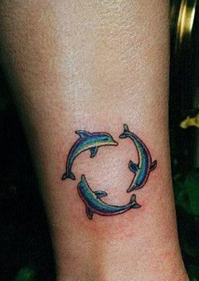 Colorful Little Three Dolphins Tattoo On Leg