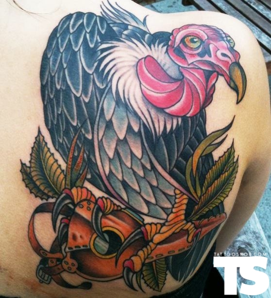 Colorful Vulture Tattoo On Back Shoulder