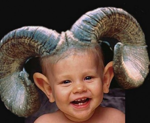 Cute Baby With Animal Horn Funny Human
