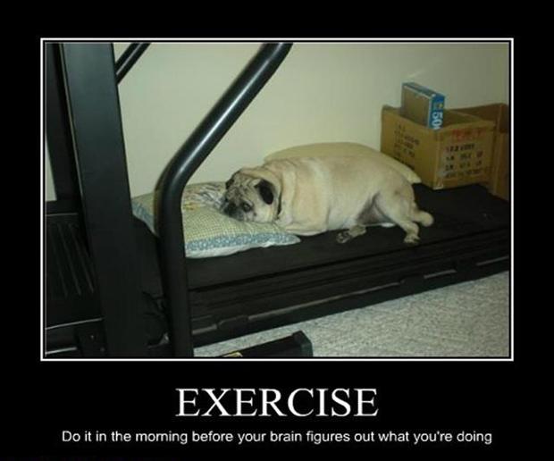 Do It In The Morning Before Your Brain Figures Out You Are Doing Funny Exercise Poster