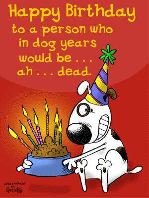 Dog Funny Happy Birthday Wishes Cartoon Picture