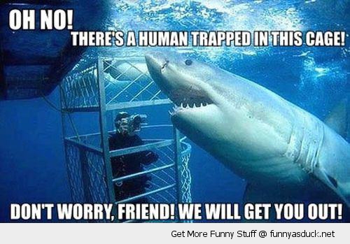 Don’t Worry Friend We Will Get You Out Funny Human Meme