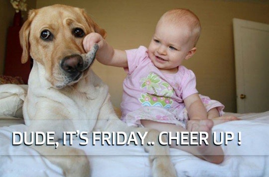 Dude It's Friday Cheer Up Kid With Dog Funny Picture