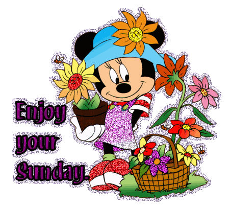 Enjoy Your Sunday Minny Mouse  With Flowers Glitter