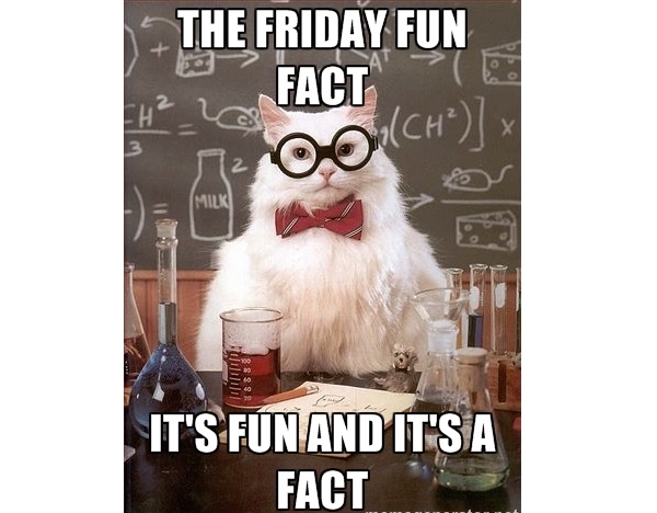 Friday Fun Fact Cat Picture