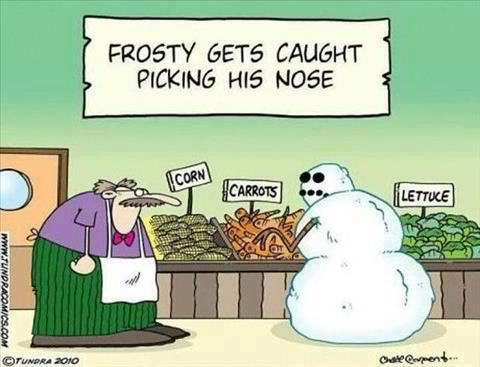 Frosty Gets Caught Funny Cartoon