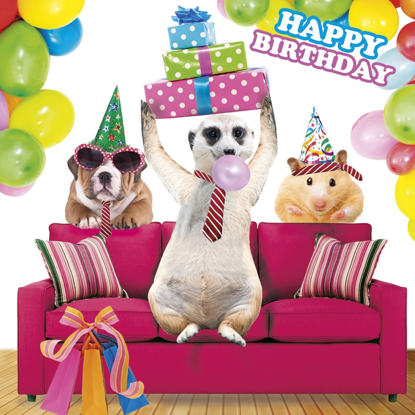 Funny Animals Celebrating Birthday