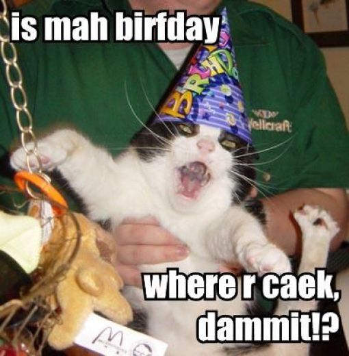 Funny Cat Birthday Celebration
