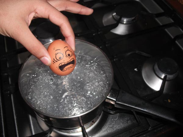 Funny Egg Crying Before Boiling