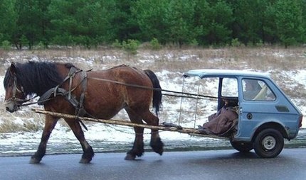 Funny Horse Car Cart Picture