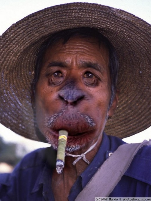 Funny Human Animal Face Smoking Image