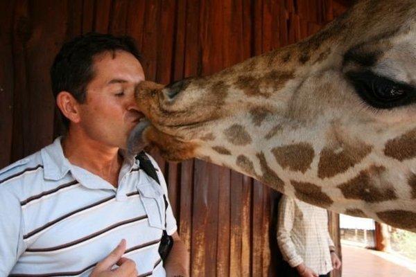 Funny Human Animal Kissing Picture