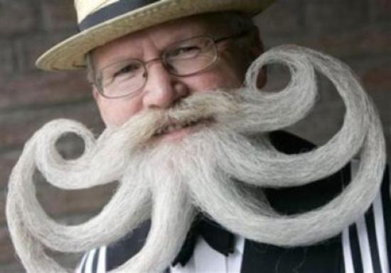 Funny Human Long Beard And Mustache