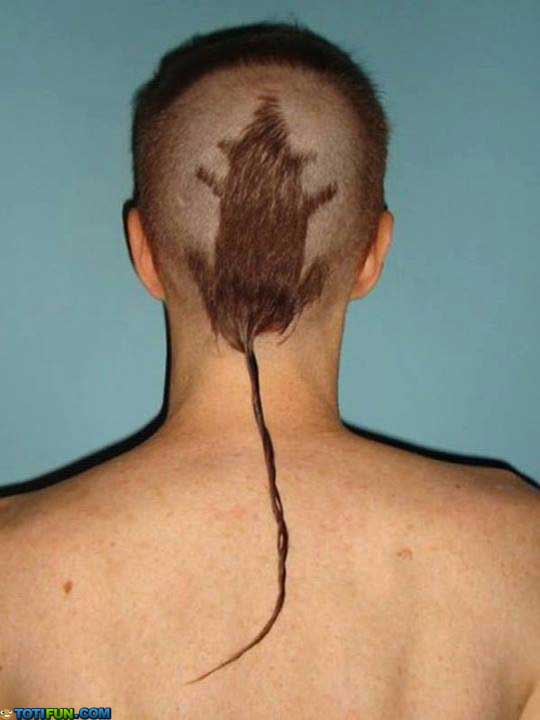 Funny Human Rat Tail Haircut