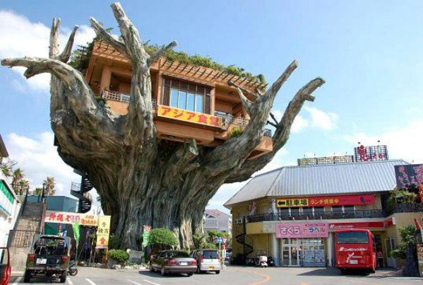 Funny Upside Down Home On Tree