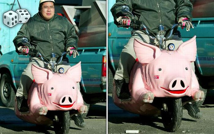 Funny Weird Pig Face Vehicle