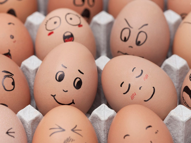 10 Best Funny Egg Images