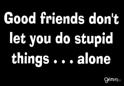 Good Friends Don't Let You Do Stupid Things Funny Quote