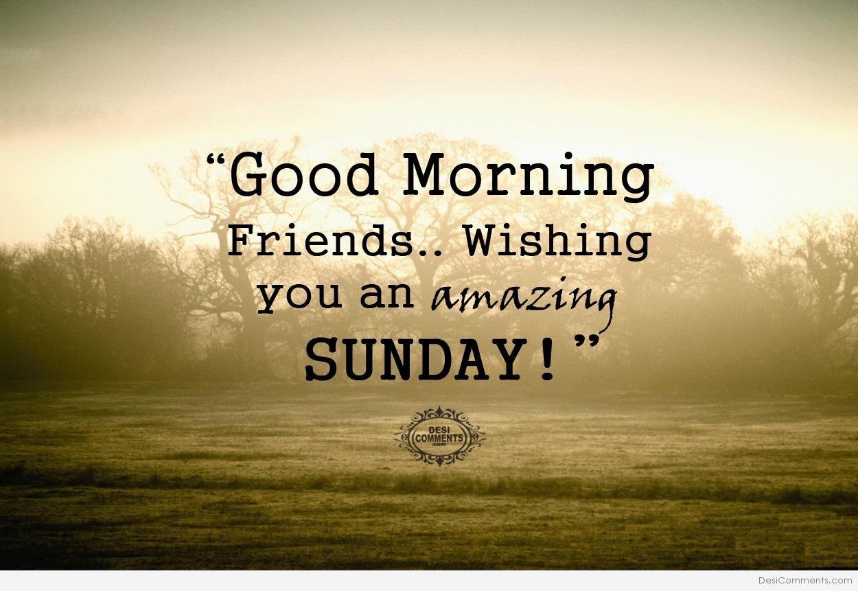 Good Morning Friends Wishing You An Amazing Sunday