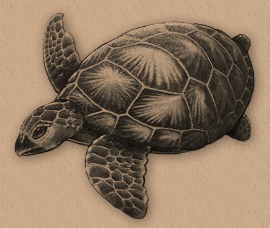Grey 3D Turtle Tattoo Design