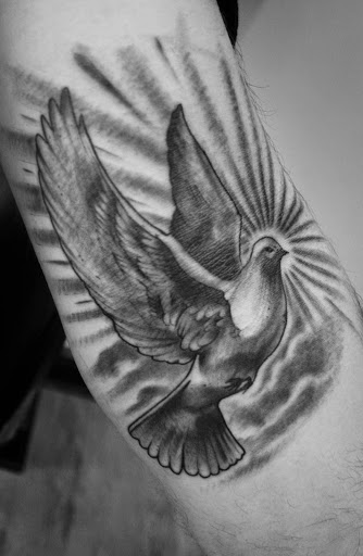 Grey Flying Dove Tattoo On Bicep