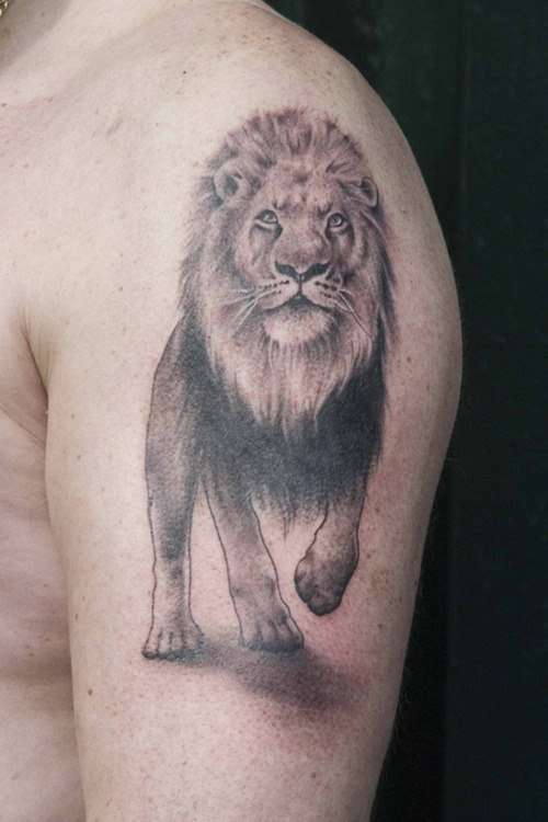 Grey Lion Animal Tattoo On Left Shoulder