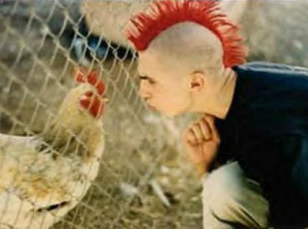 Guy With Funny Mohawk Red Hair Style