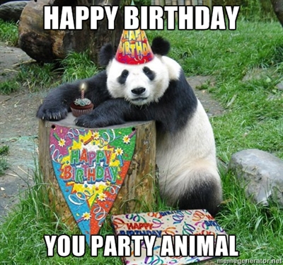 Happy Birthday You Party Animal Funny Meme