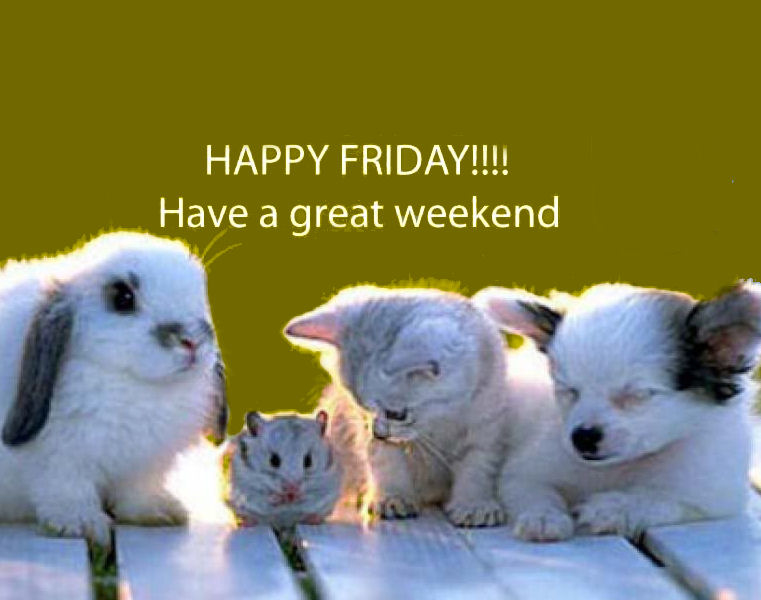 Happy Friday Have A Great Weekend