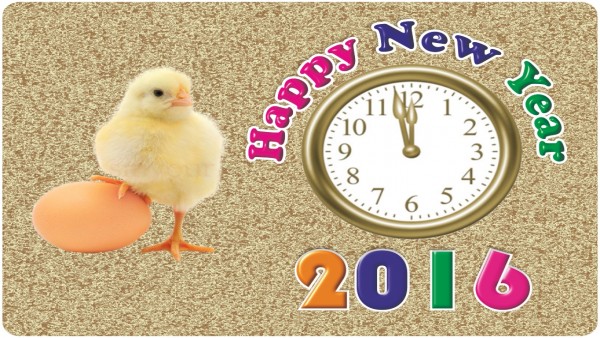 Happy New Year 2016 Countdown Begins