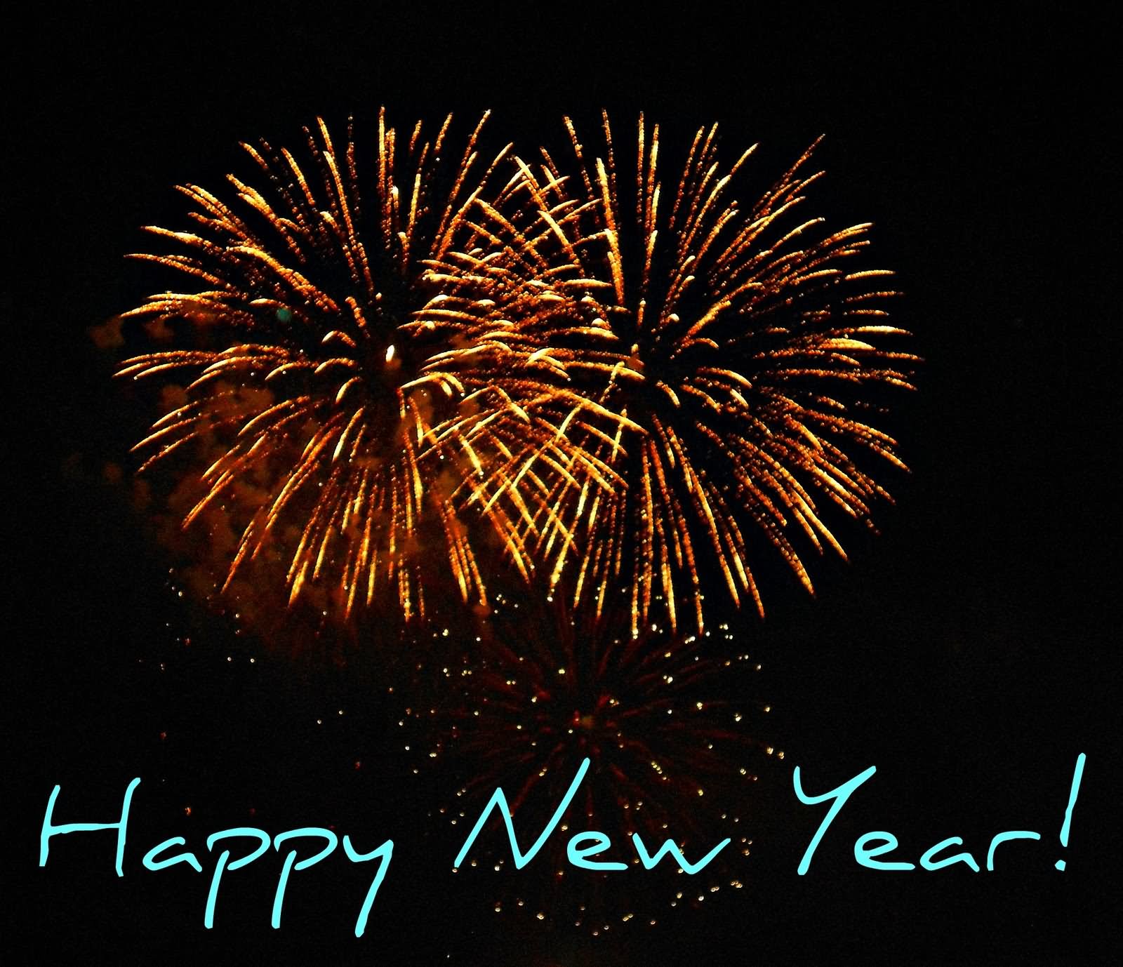 Happy New Year Fireworks Photo